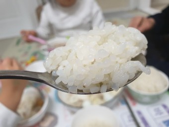 곤약 쌀 효능 8가지와 부작용 및 밥 짓는 법