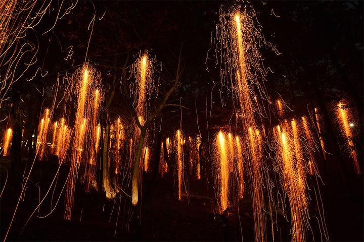 2025 세종낙화축제