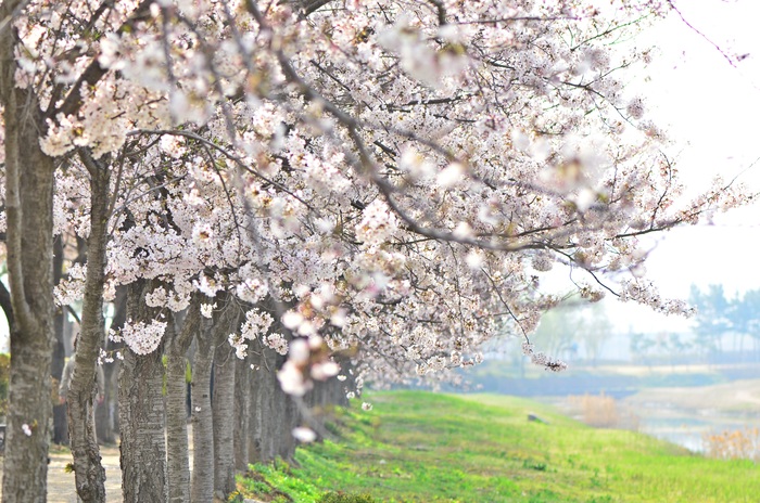 시흥-갯골-생태공원