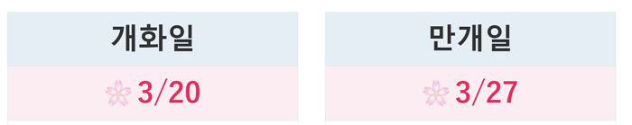 2022년도쿄벚꽃시기