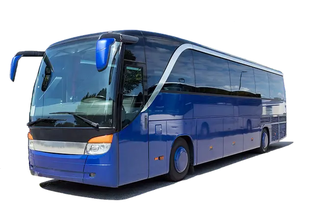 시외버스 통합예매시스템 완벽 가이드