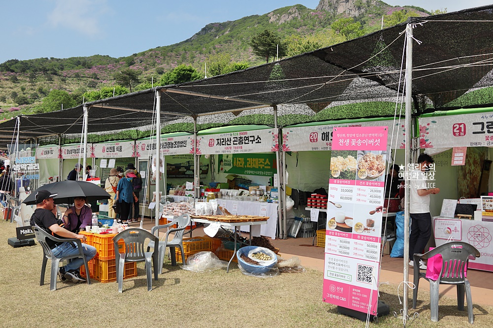 황매산 철쭉 개화시기, 셔틀버스, 산청 합천 5월 가볼만한곳