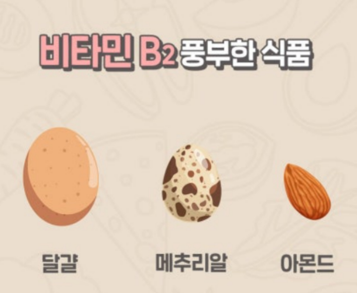 혓바늘에-좋은-음식