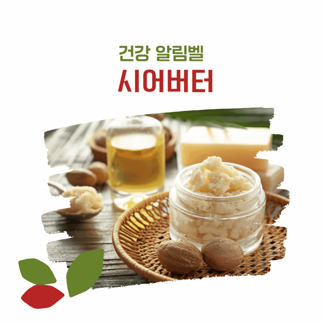 건강 알림벨 시어버터