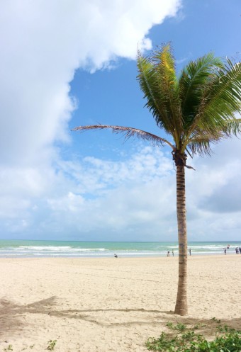 따뜻한 휴양지 추천 베스트 5 다낭1