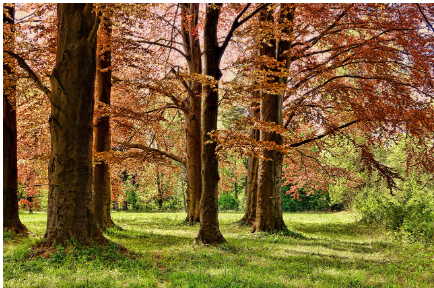 서울 도심 속 숨겨진 자연 공간
