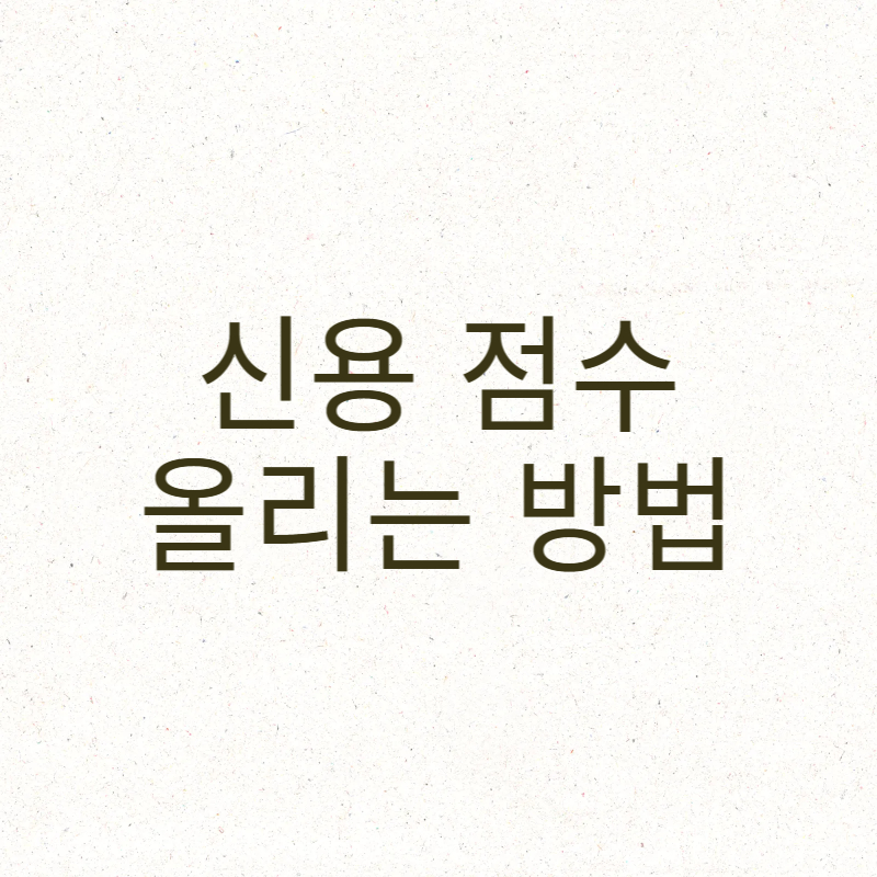 신용 점수 올리는 방법