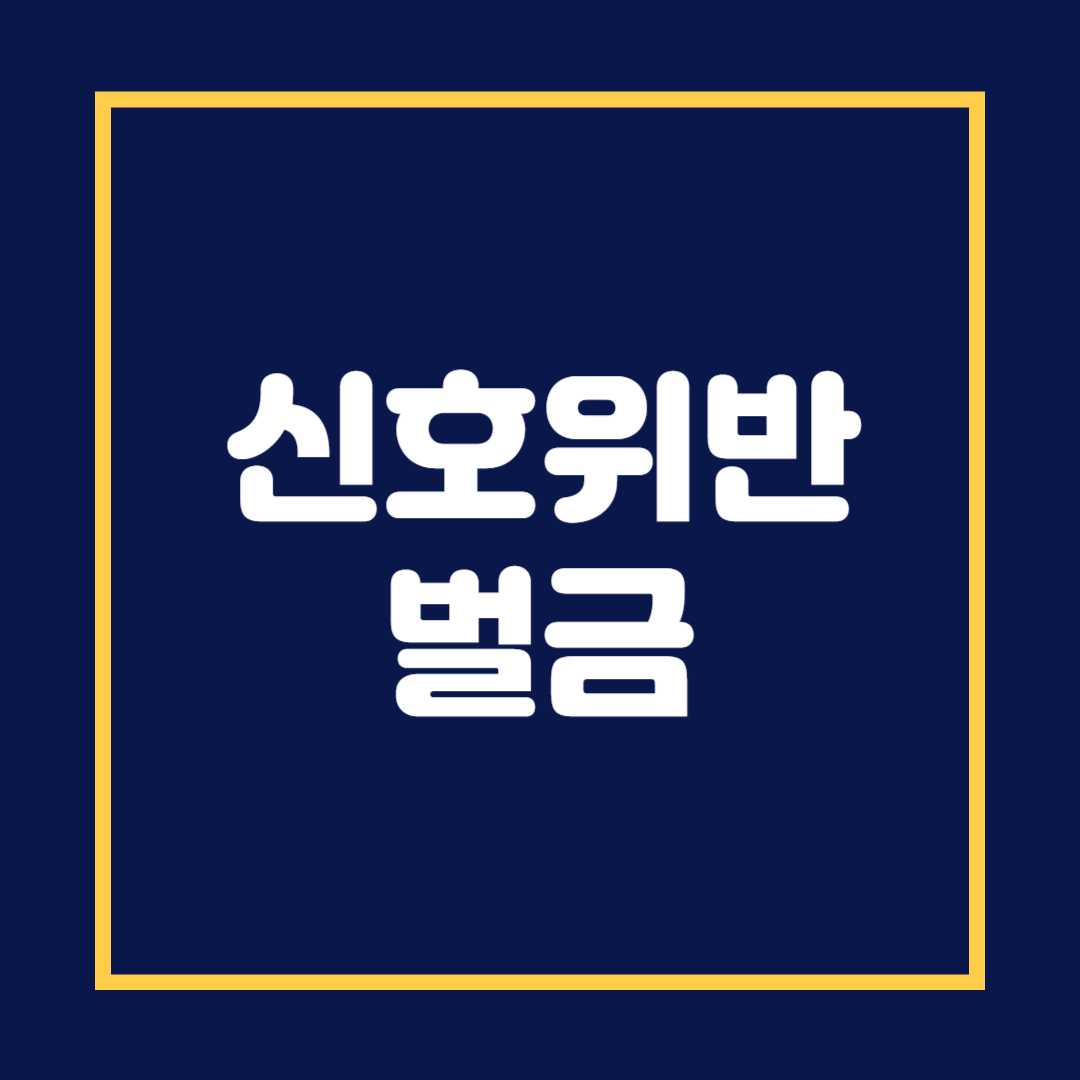 신호위반 벌금