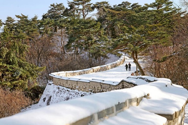 서울·경기권 겨울에 걷기 좋은 숲길 & 트레킹 코스 BEST 7