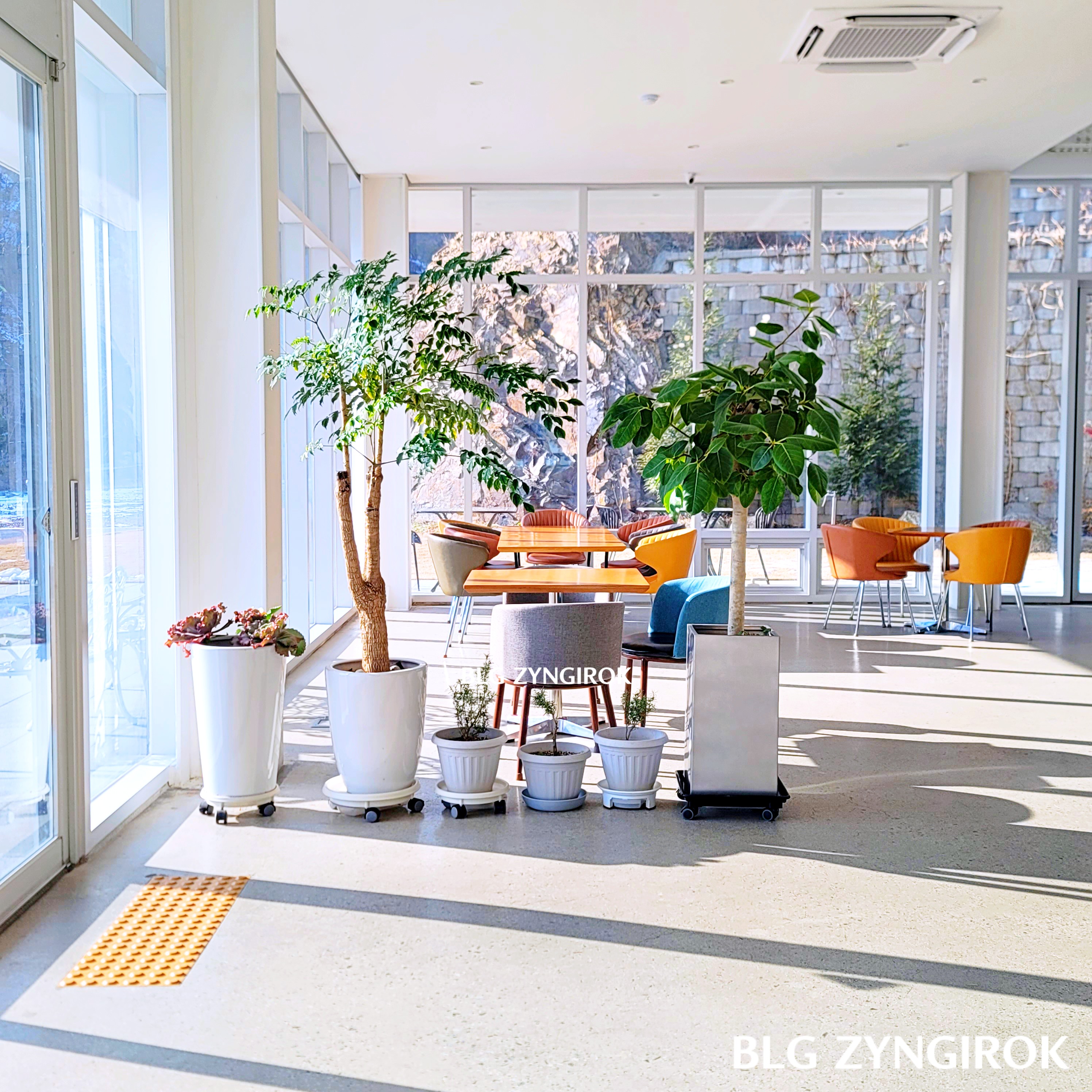  양주 카페 닛다 내부 - 1층 입구 모습이다.