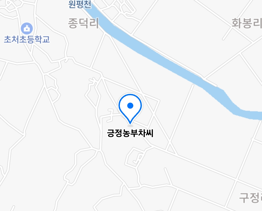 오늘N 이맛에산다 목이버섯