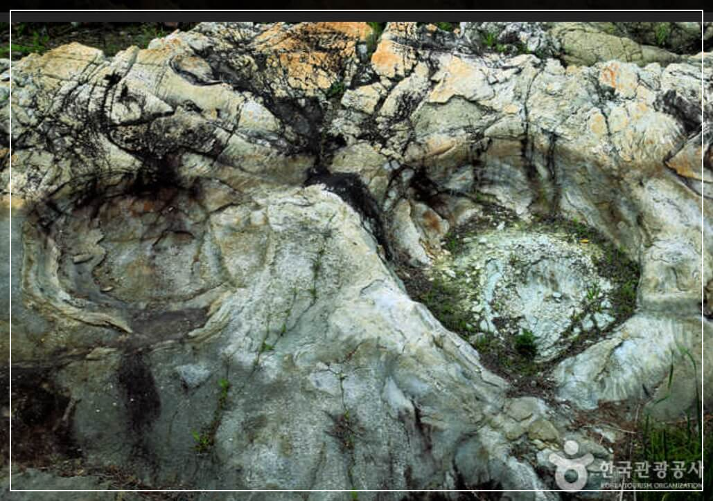 해남 가볼만한곳 베스트10 우항리 해안 공룡화석지