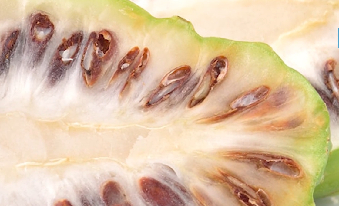 노니 효능 부작용