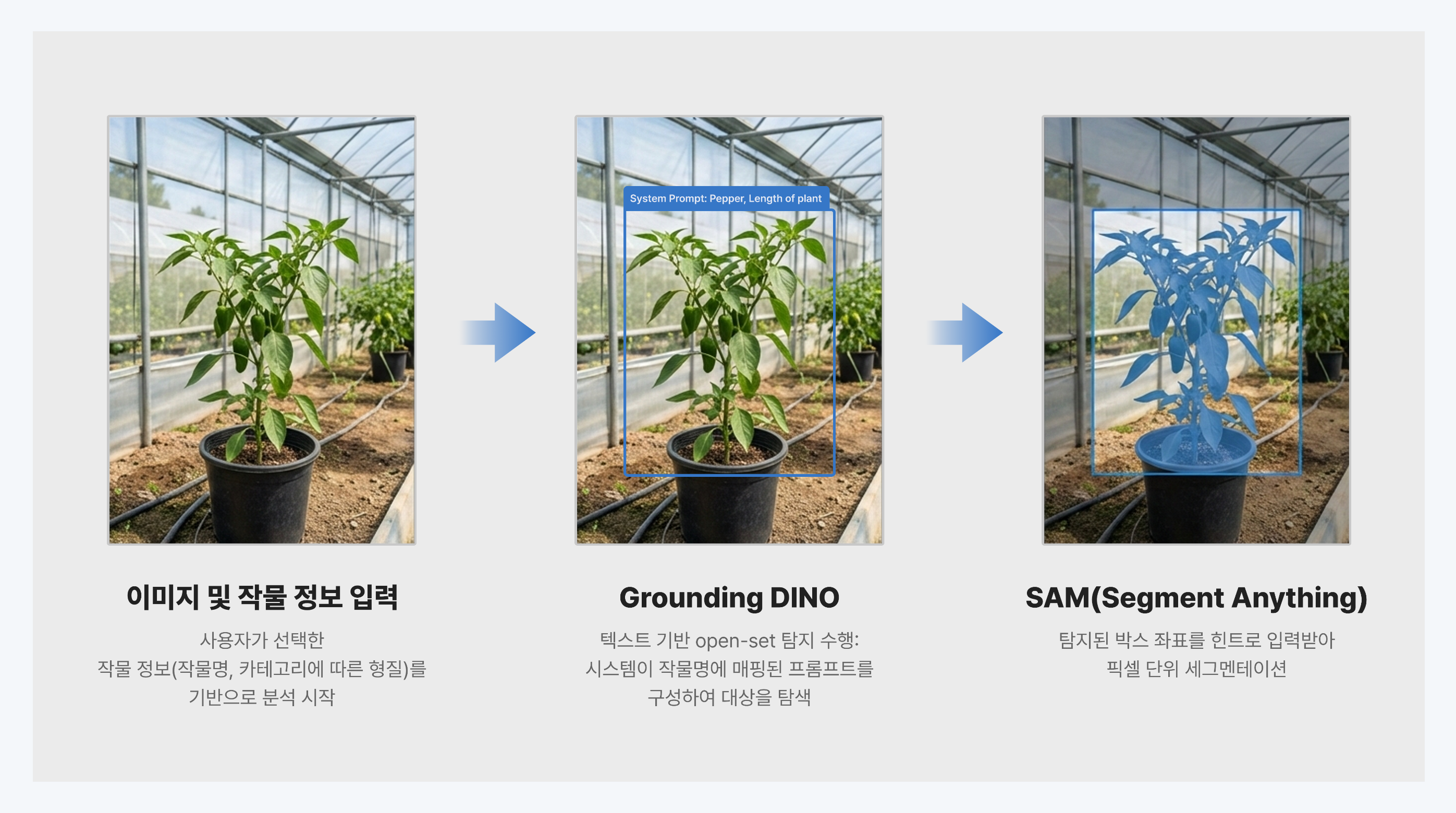 디지털육종, AX