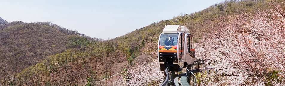 화담숲 예약 모노레일