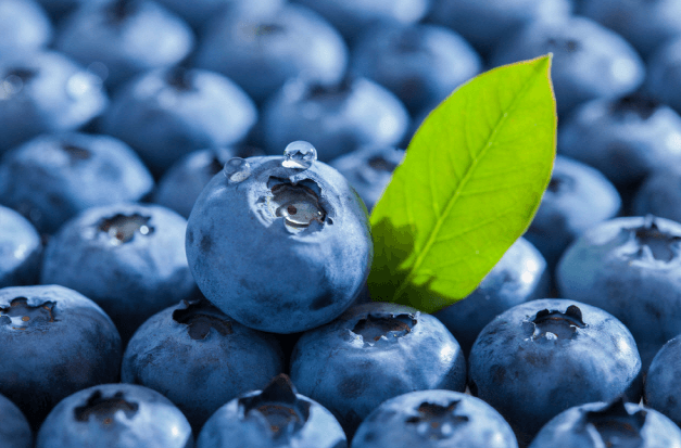 갱년기 건강식 따라해보기