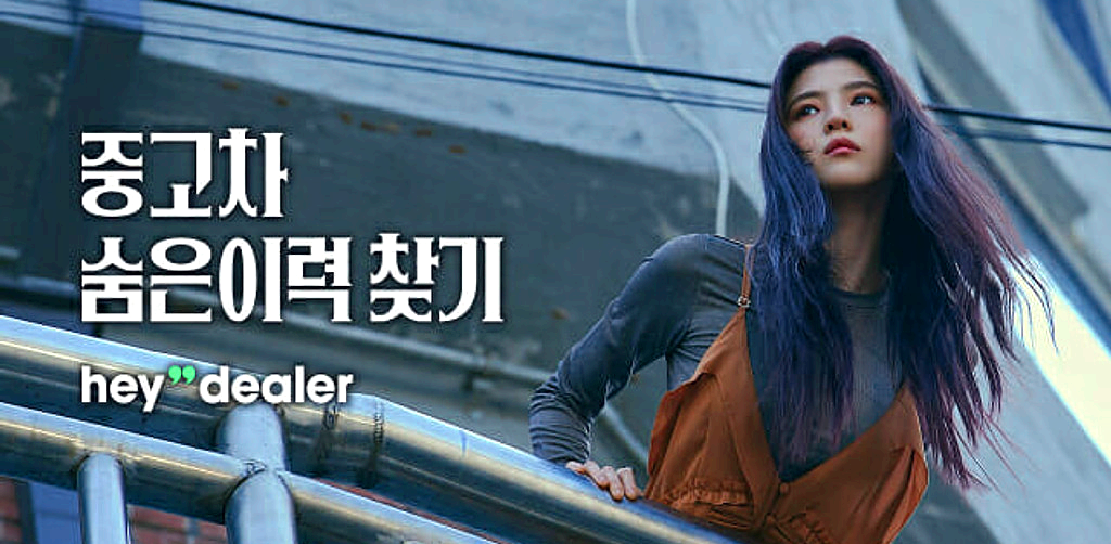 헤이딜러