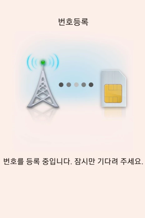  아래는 KT 통신사 나밍번호 입력 예시2