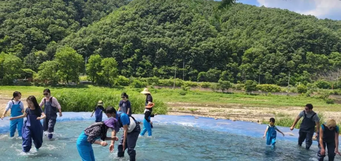 양평 메기수염 축제