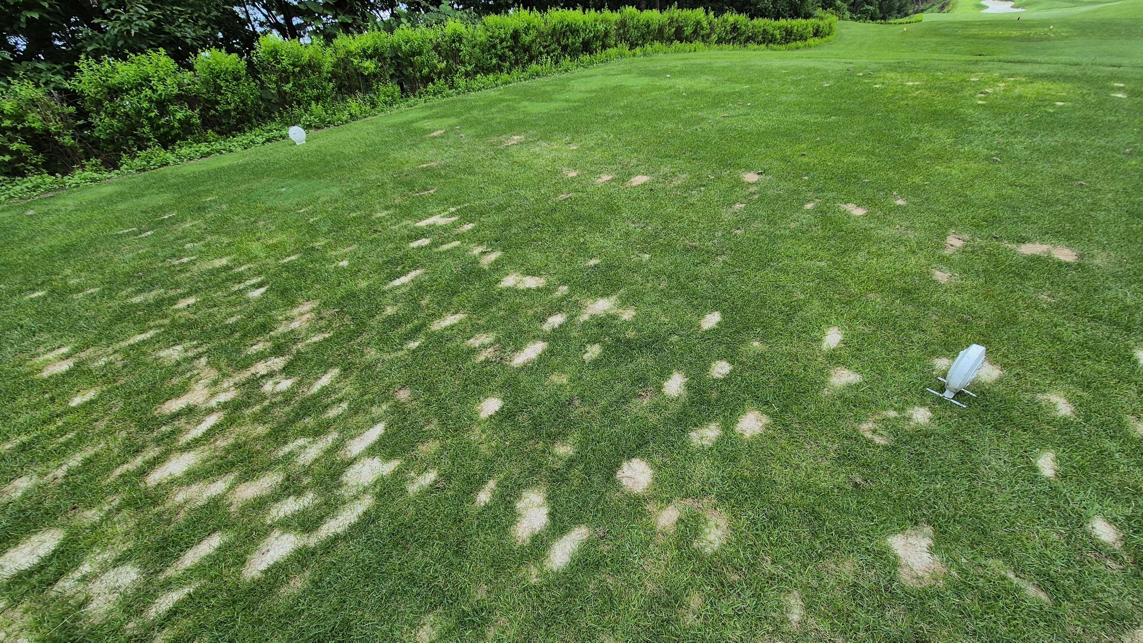 참밸리cc 라운드 후기