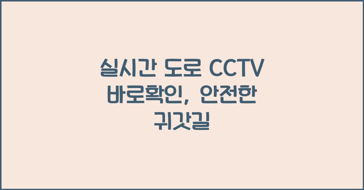 실시간 도로 cctv 바로확인