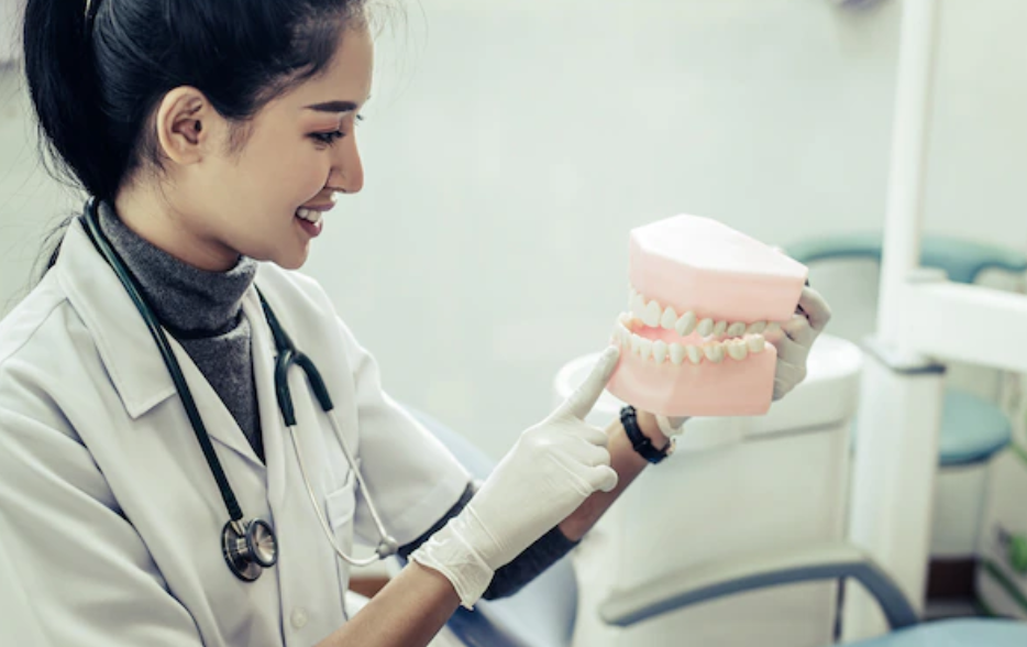 치아 모형을 들고 설명하고 있는 여의사