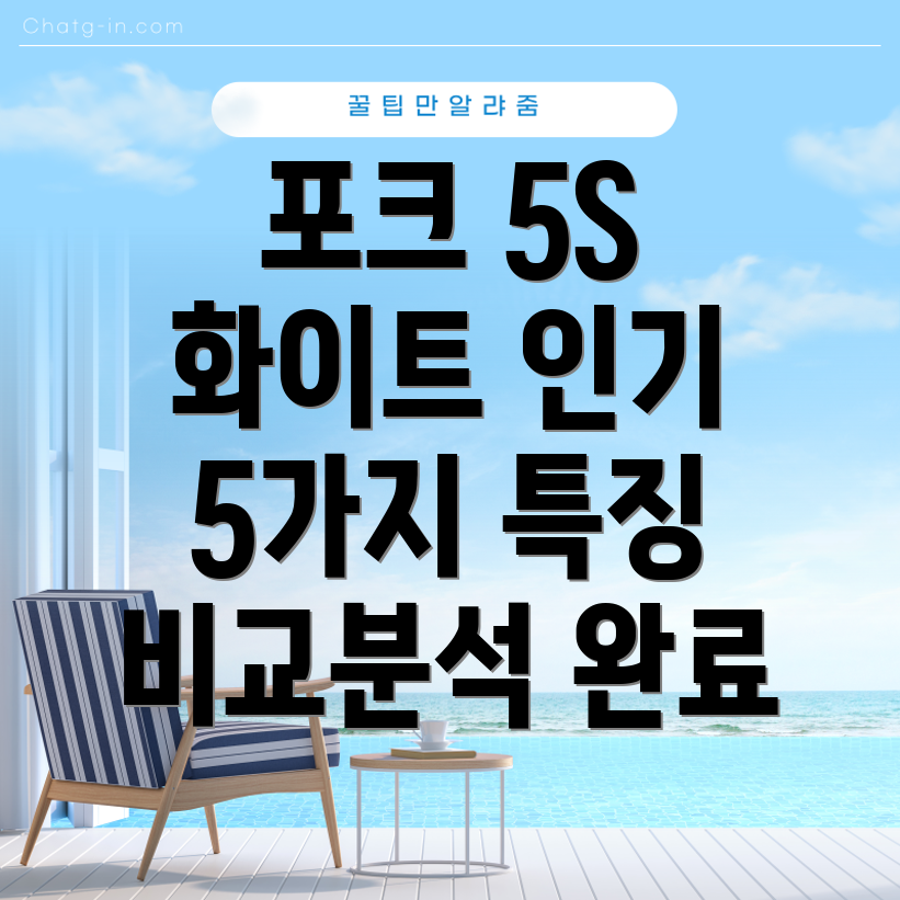 포크5S화이트인기상품5가지특징비교분석