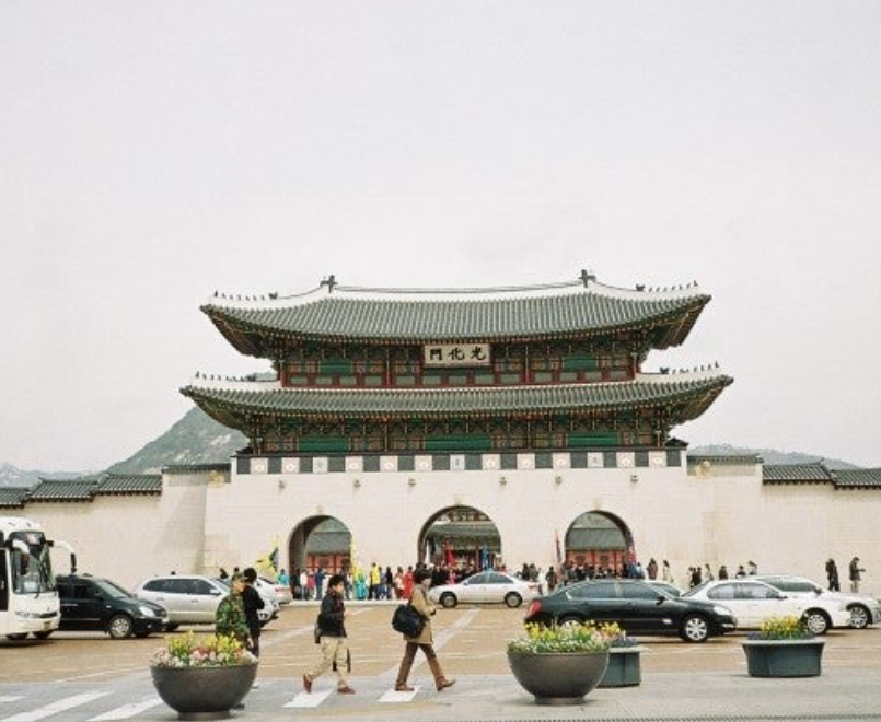 조계사-봄꽃-힐링-경복궁