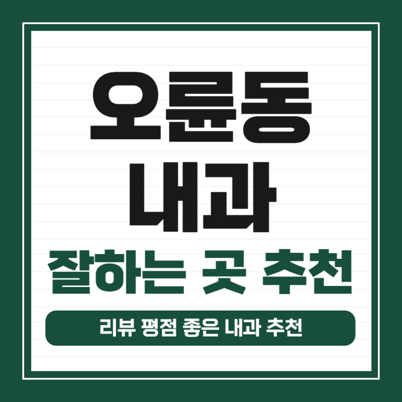 송파구 오륜동 내과 병원 24시 야간진료 유명한 곳 잘하는 곳 추천