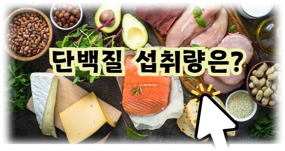 단백질 섭취량은 얼마나 필요할까?