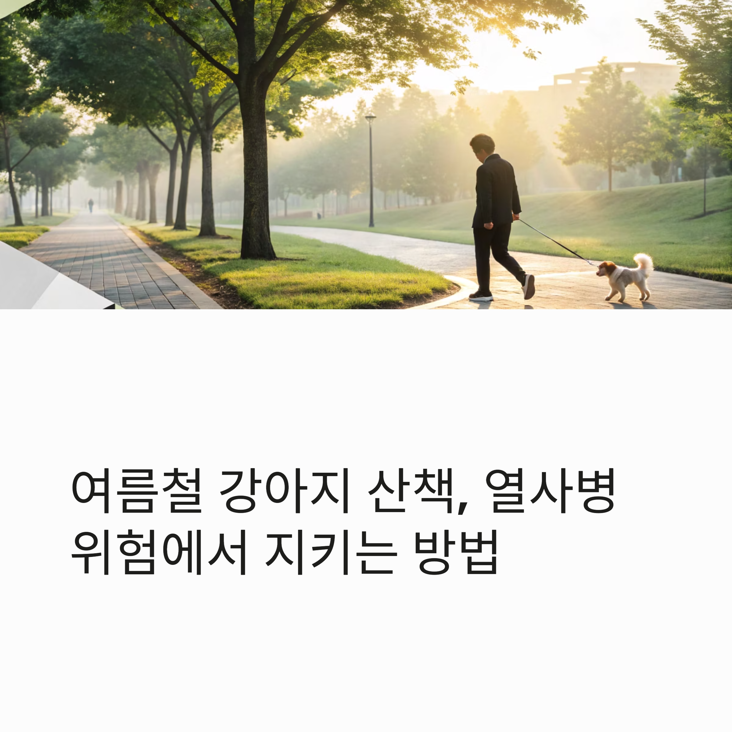여름철 강아지 산책, 열사병 위험에서 지키는 방법