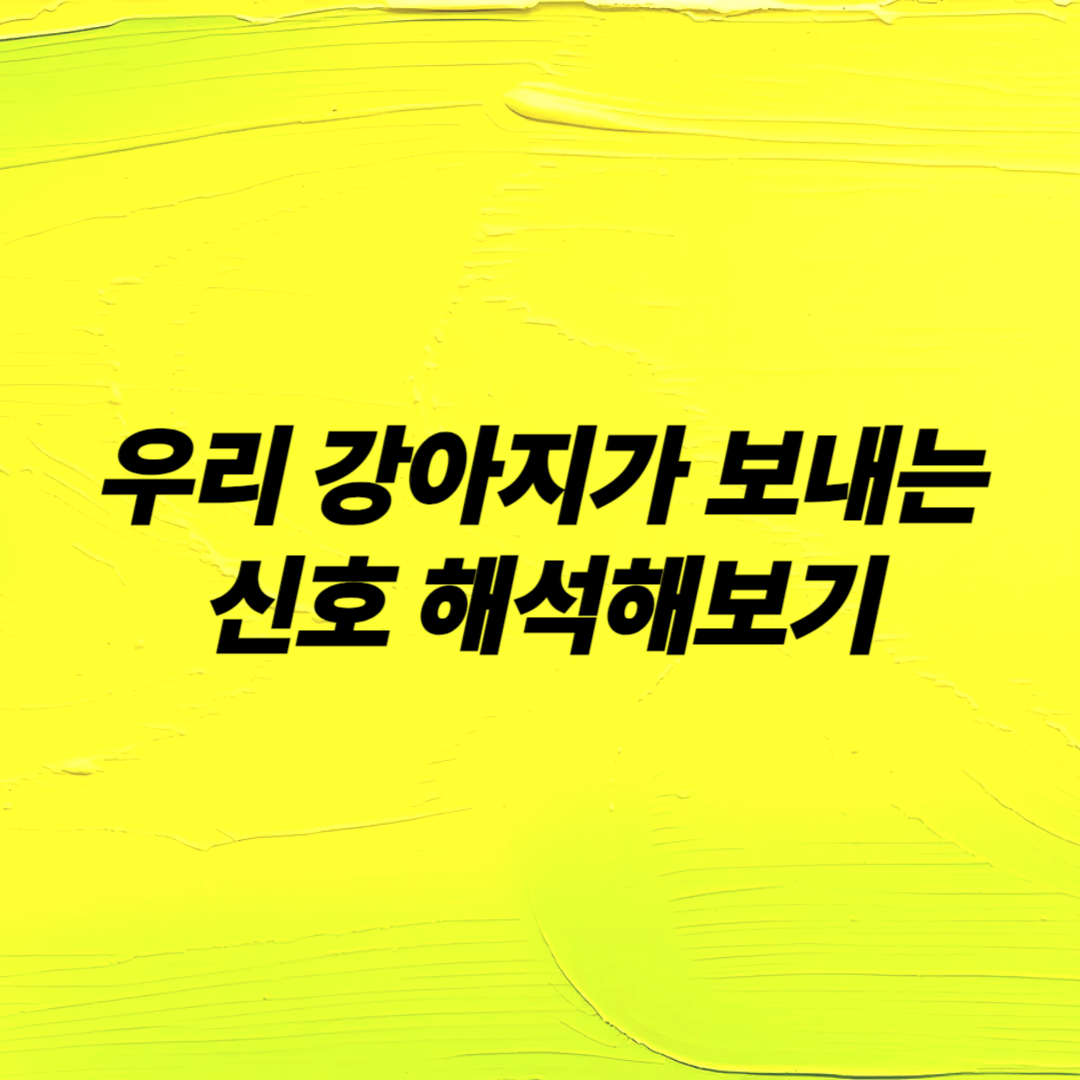 우리 집 강아지가 보내는 신호 해석하기 강아지 행동분석