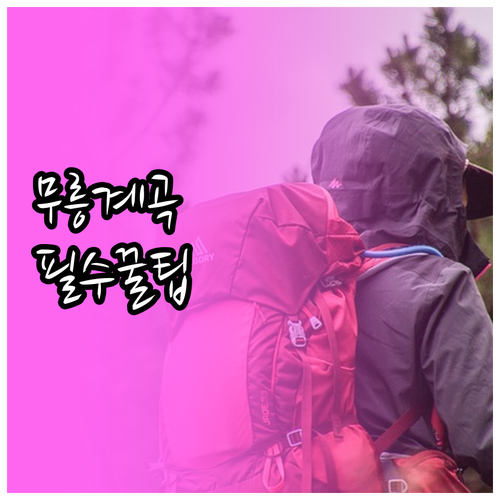 무릉계곡 무인 발권기 이용 방법과 산..