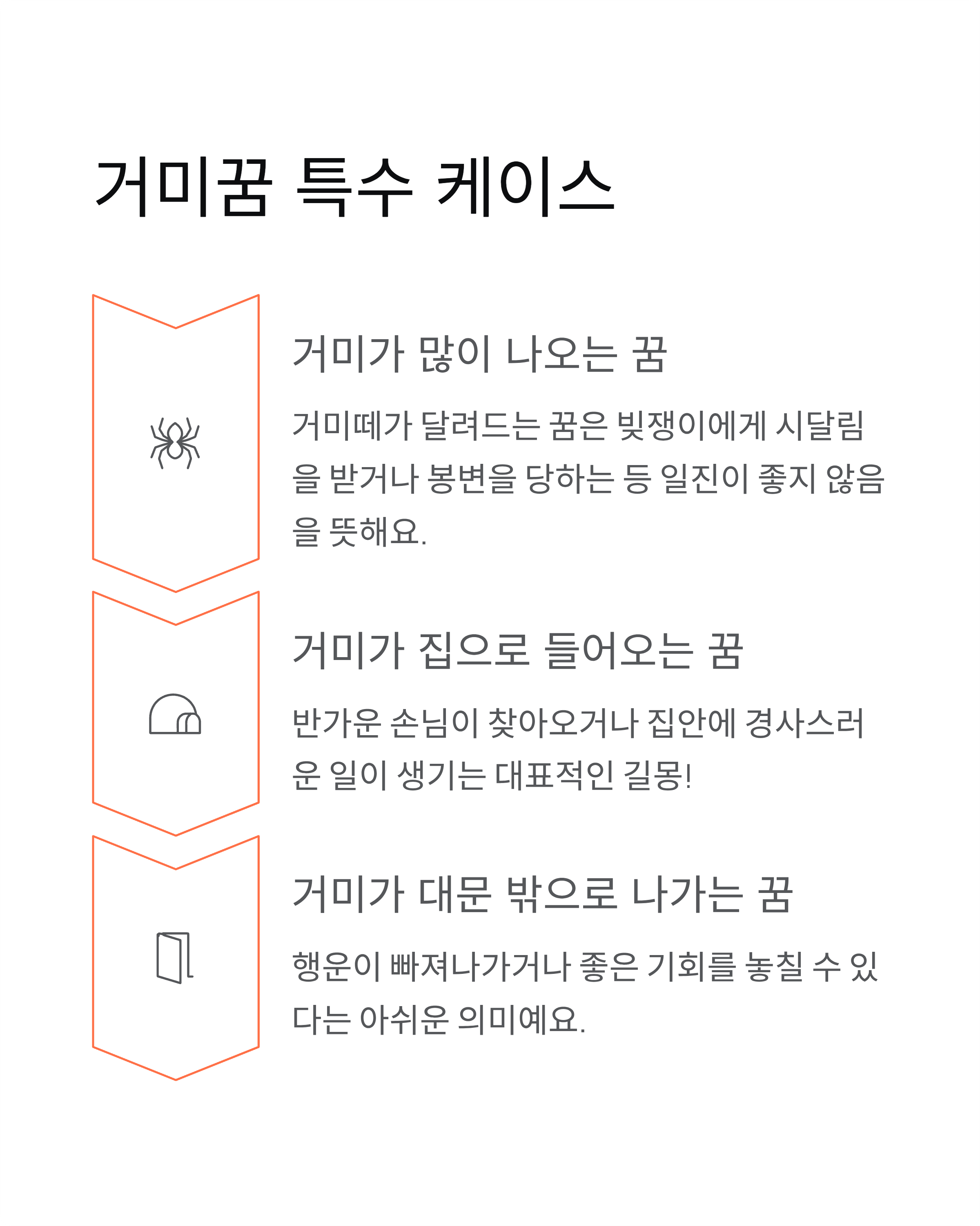 거미꿈 해몽 완벽 가이드