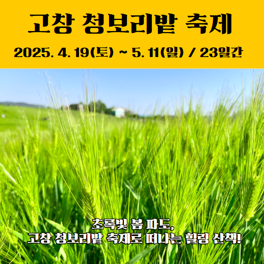 고창 청보리밭 축제