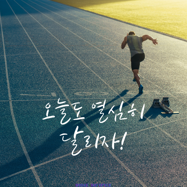 아침 인사로 좋은 글 이미지 아침 인사말 문구 모음