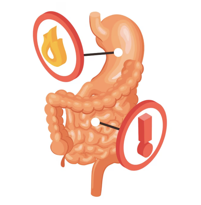 수면 비수면 대장내시경 비용 국가검진 폴립 제거
