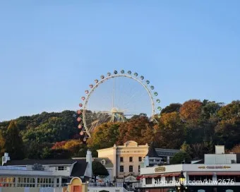 에버랜드 입장료 퍼레이드 어트랙션까지 하루 즐기기 가이드_21