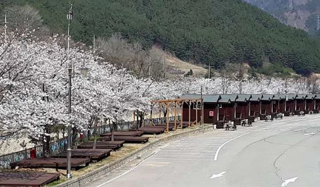 덕풍계곡캠핑장