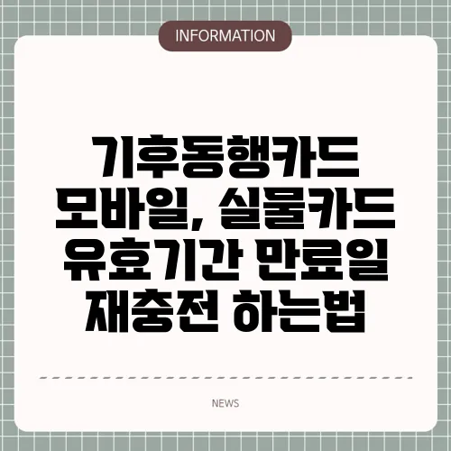 기후동행카드 모바일, 실물카드 유효기간 만료일 재충전 하는법