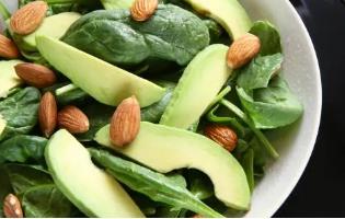 아보카도와 견과류 등 건강한 지방