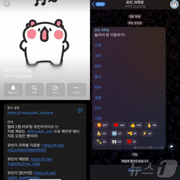 운영 방식과 불법 공유 규모