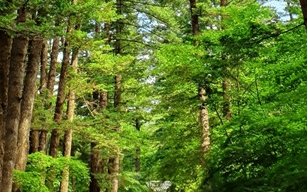 가을 바다 열차 여행 추천