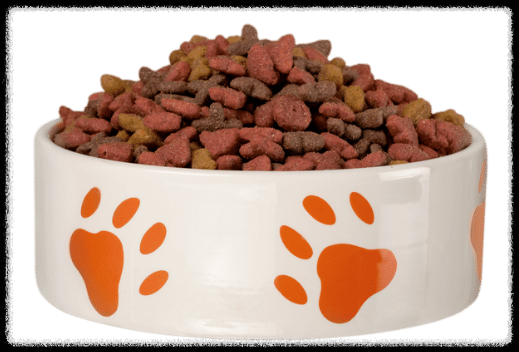 강아지 사료 급여량 계산 가이드