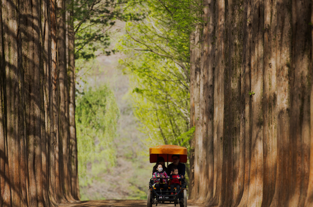 가평 놀거리 명소 액티비티 먹거리