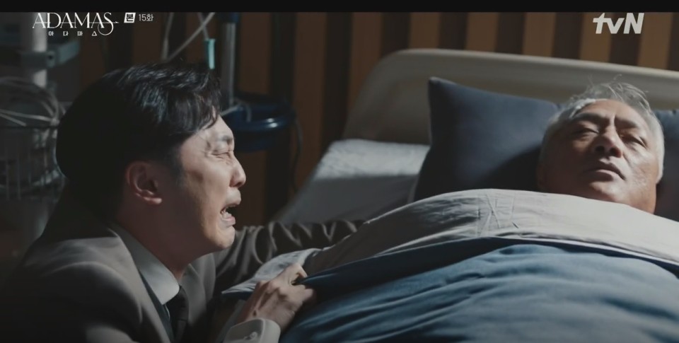 아다마스 스틸컷