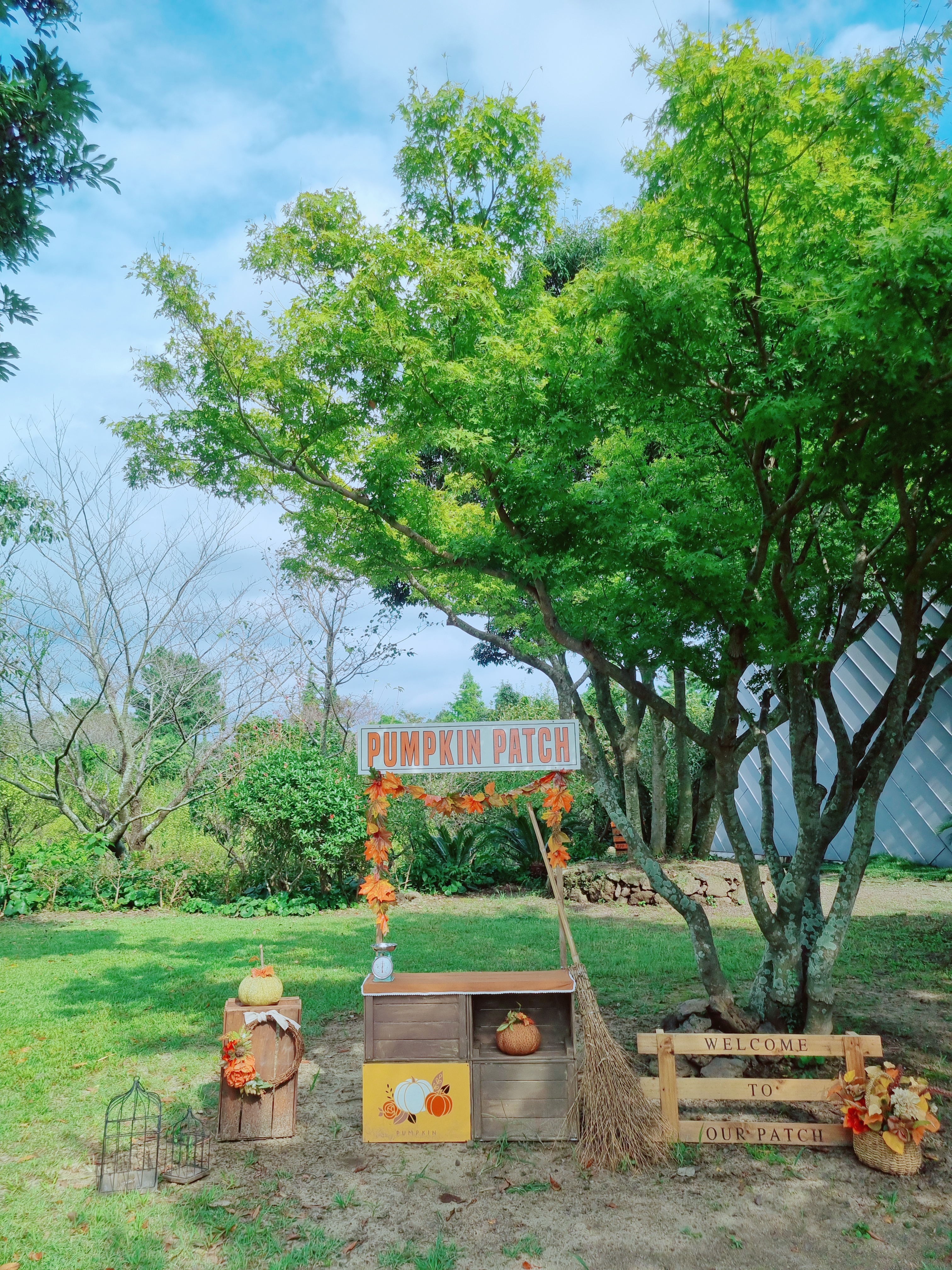 노리매공원
