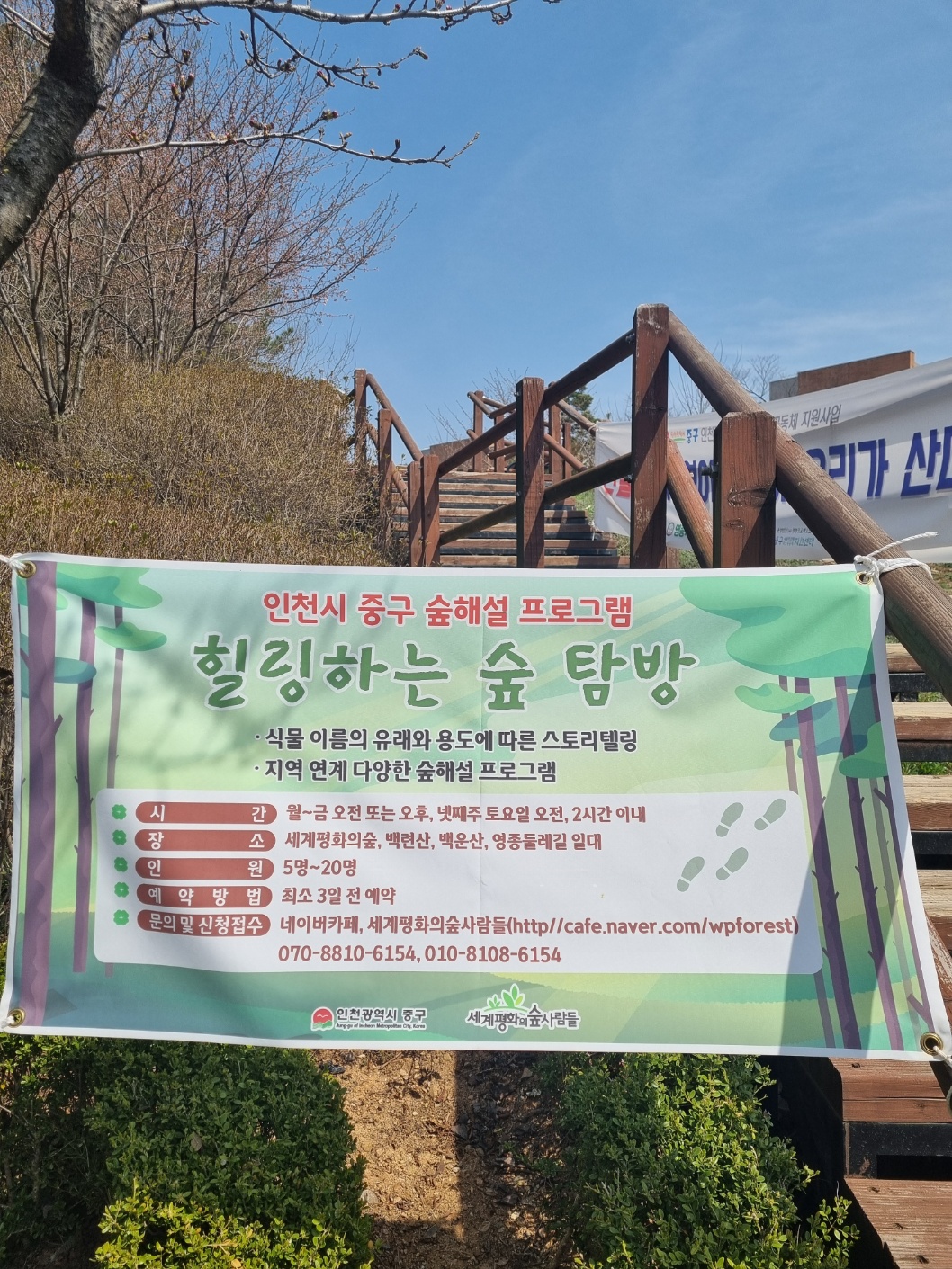 [영종도] 운서동 백운산 등산 (맛집 / 뷰 좋은 카페) 아이들과 갈만한 곳