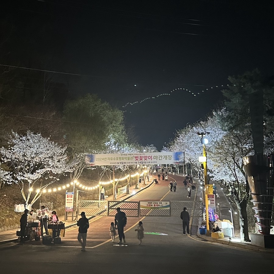 소요산 벚꽃명소 