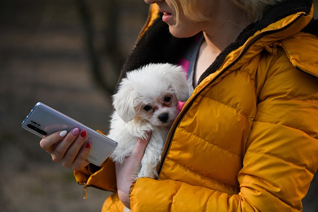 강아지 눈물 자국 관련 사진